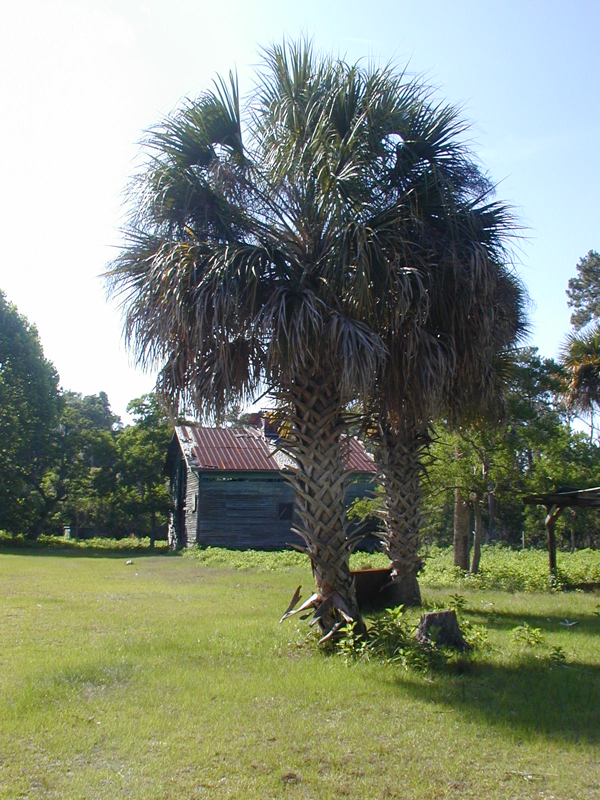 Buildings